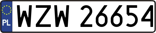 WZW26654
