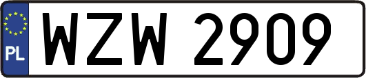 WZW2909