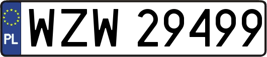 WZW29499