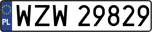 WZW29829