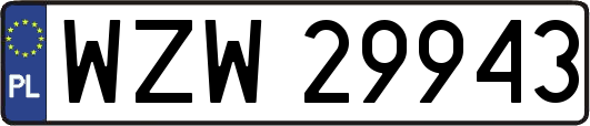 WZW29943