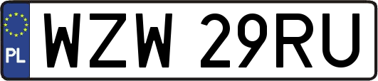 WZW29RU