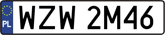 WZW2M46