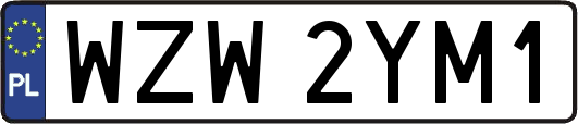 WZW2YM1