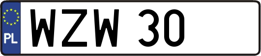 WZW30