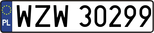 WZW30299