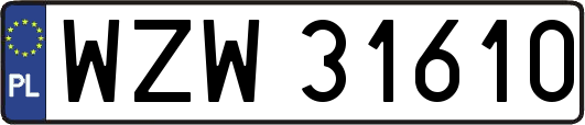 WZW31610