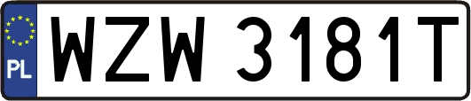WZW3181T