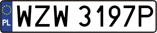 WZW3197P