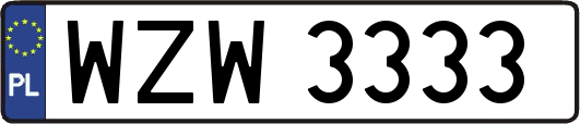 WZW3333