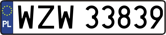 WZW33839