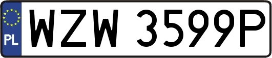WZW3599P