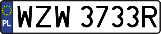 WZW3733R