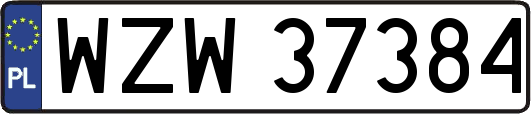 WZW37384