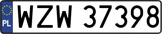 WZW37398