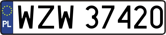 WZW37420
