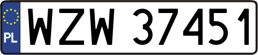 WZW37451