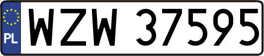 WZW37595