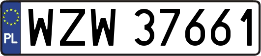 WZW37661
