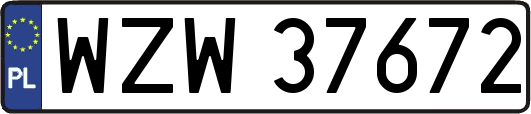 WZW37672