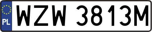WZW3813M