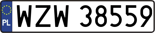 WZW38559
