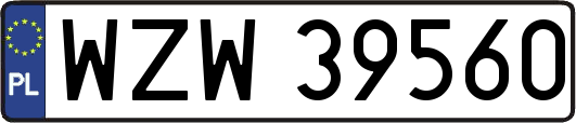 WZW39560
