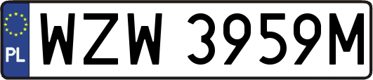 WZW3959M