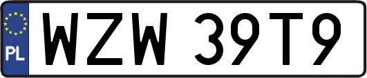 WZW39T9