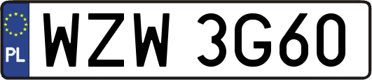 WZW3G60