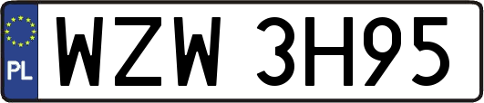 WZW3H95