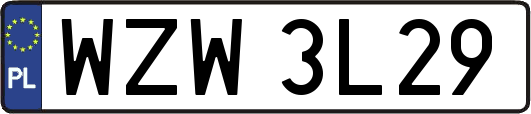 WZW3L29