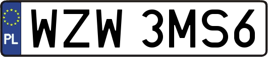 WZW3MS6