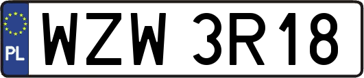 WZW3R18