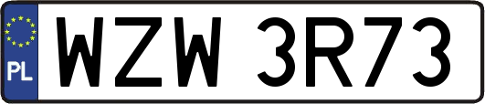 WZW3R73