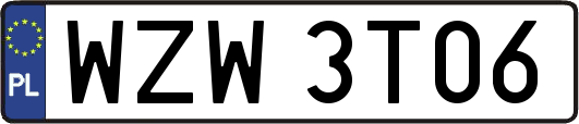 WZW3T06
