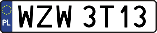 WZW3T13