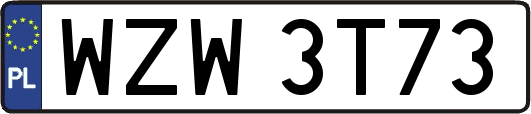 WZW3T73