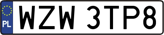 WZW3TP8