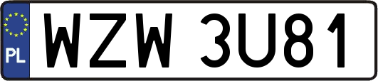 WZW3U81