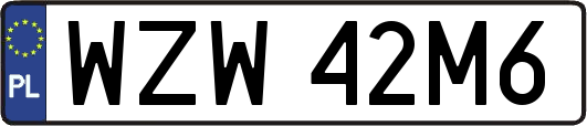 WZW42M6