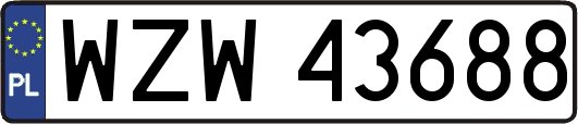WZW43688