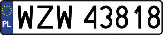 WZW43818