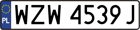 WZW4539J