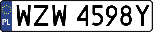 WZW4598Y