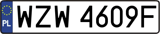WZW4609F