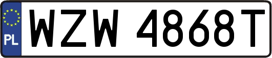 WZW4868T
