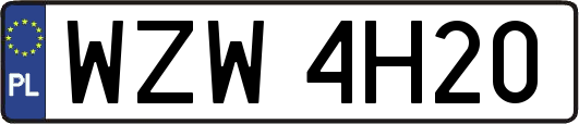 WZW4H20