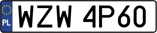 WZW4P60