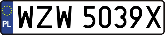 WZW5039X